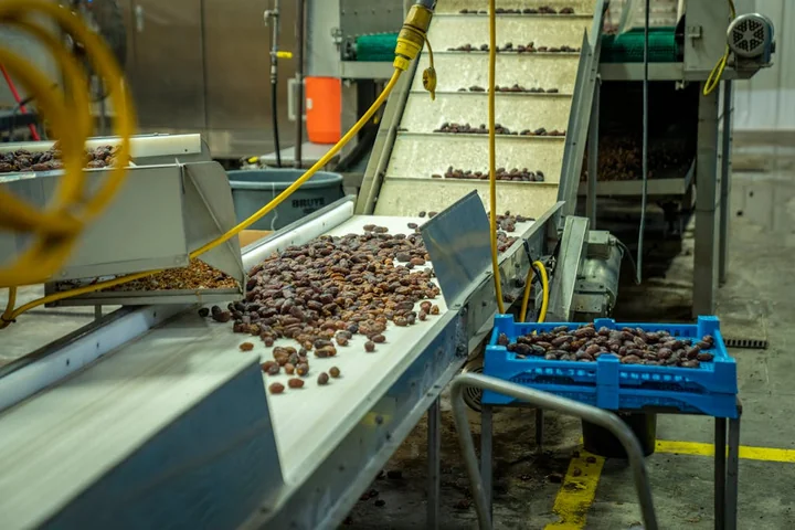 Jak dobrać przenośnik taśmowy do rodzaju transportowanego towaru