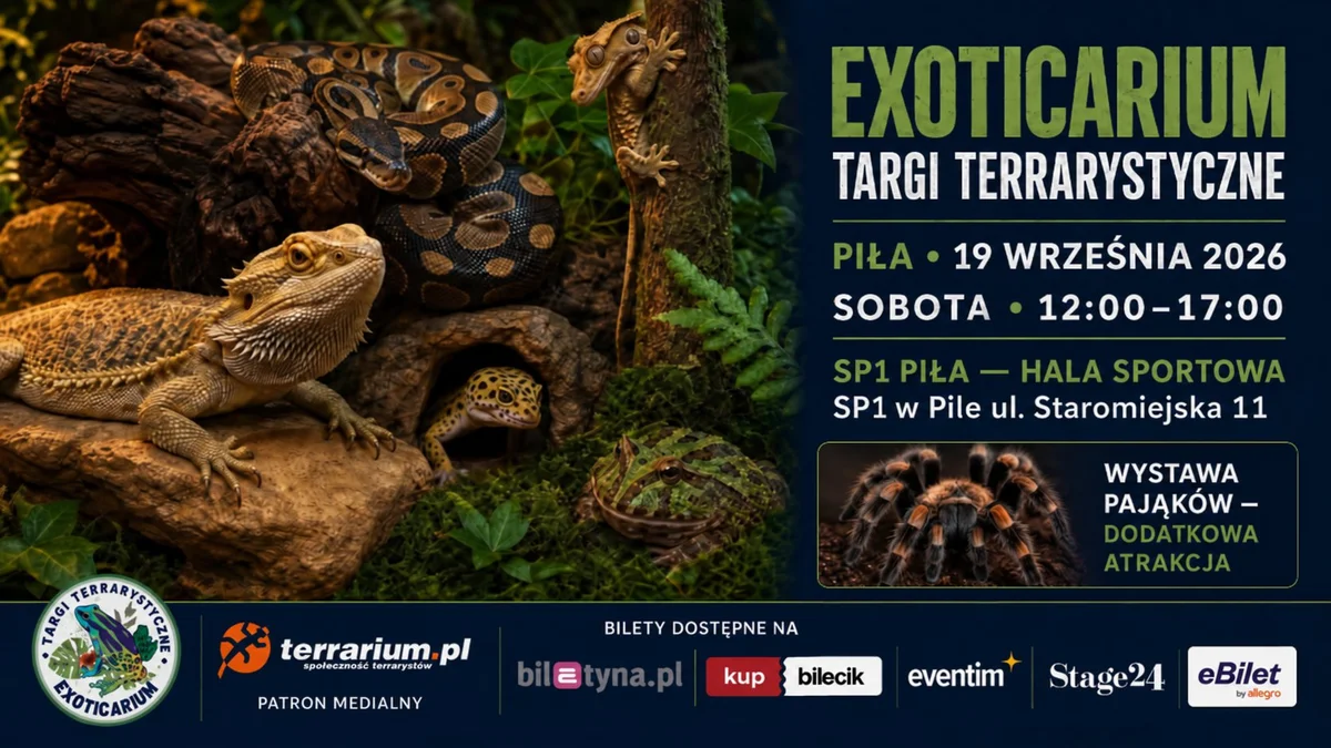 Grafika promocyjna wydarzenia Targi Terrarystyczne Exoticarium — Piła: egzotyczne zwierzęta