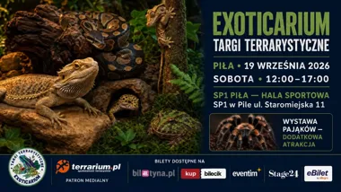 Targi Terrarystyczne Exoticarium — Piła: egzotyczne zwierzęta