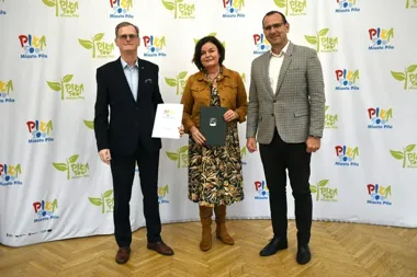 W Pile wymienią 518 opraw LED. Lista obejmuje 60 lokalizacji