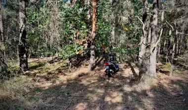 Cztery skutery skradzione w Pile, policja odzyskała wszystkie